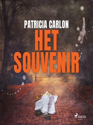 cover image of Het souvenir